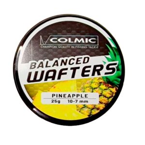 BALANCED-WAFTERS_pineaple
